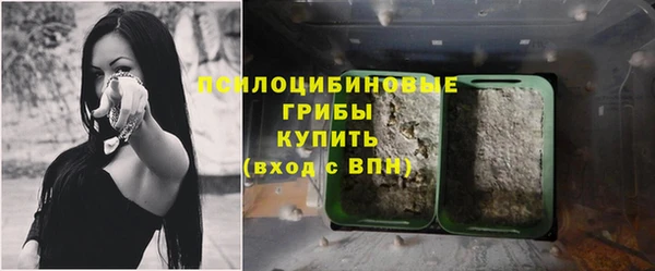 COCAINE Гусев