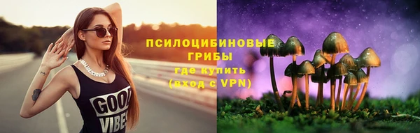 mdpv Нягань