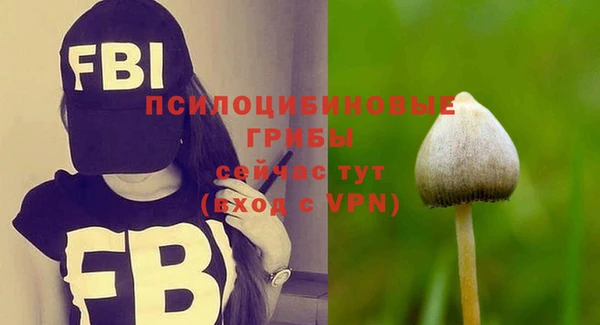 герыч Нязепетровск