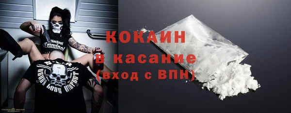 мдпв Гусь-Хрустальный