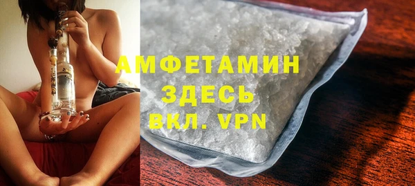 мдпв Гусь-Хрустальный