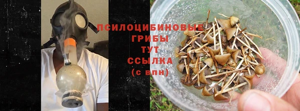 ПСИЛОЦИБИНОВЫЕ ГРИБЫ Новодвинск