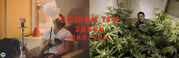 гашик Гусиноозёрск